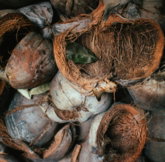 bunch of coconut husks